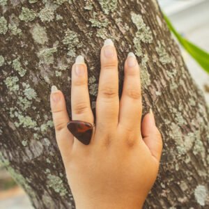 anel semente forte 2